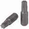 Torx T30 25mm insert WB296 