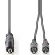 Stereo-Audiokabel 3,5-mm-Stecker auf 2 x Cinch-Stecker, 1,5 m ND9074 Nedis